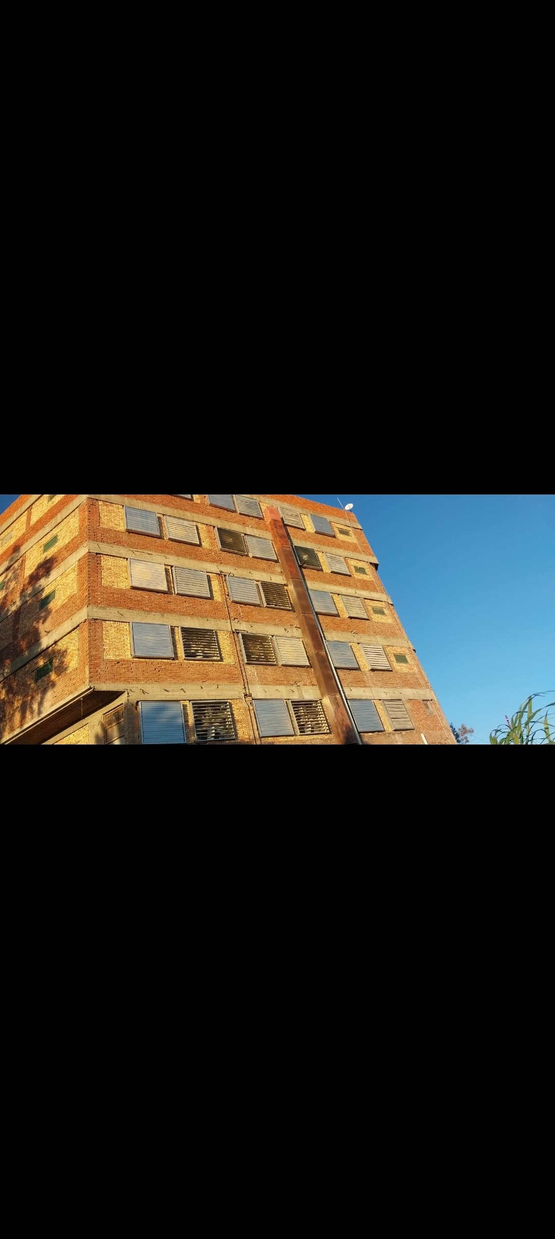 مزرعه دواجن كبيره
