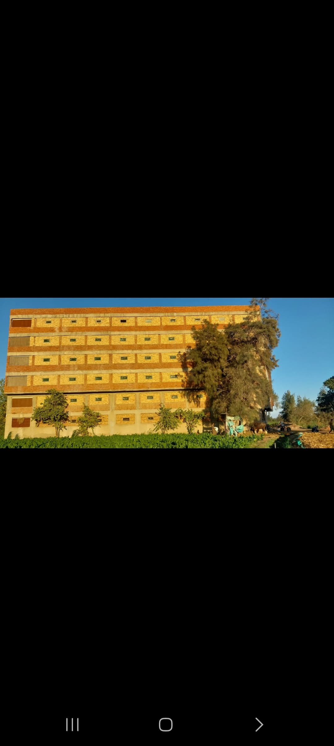 مزرعه دواجن كبيره — 6