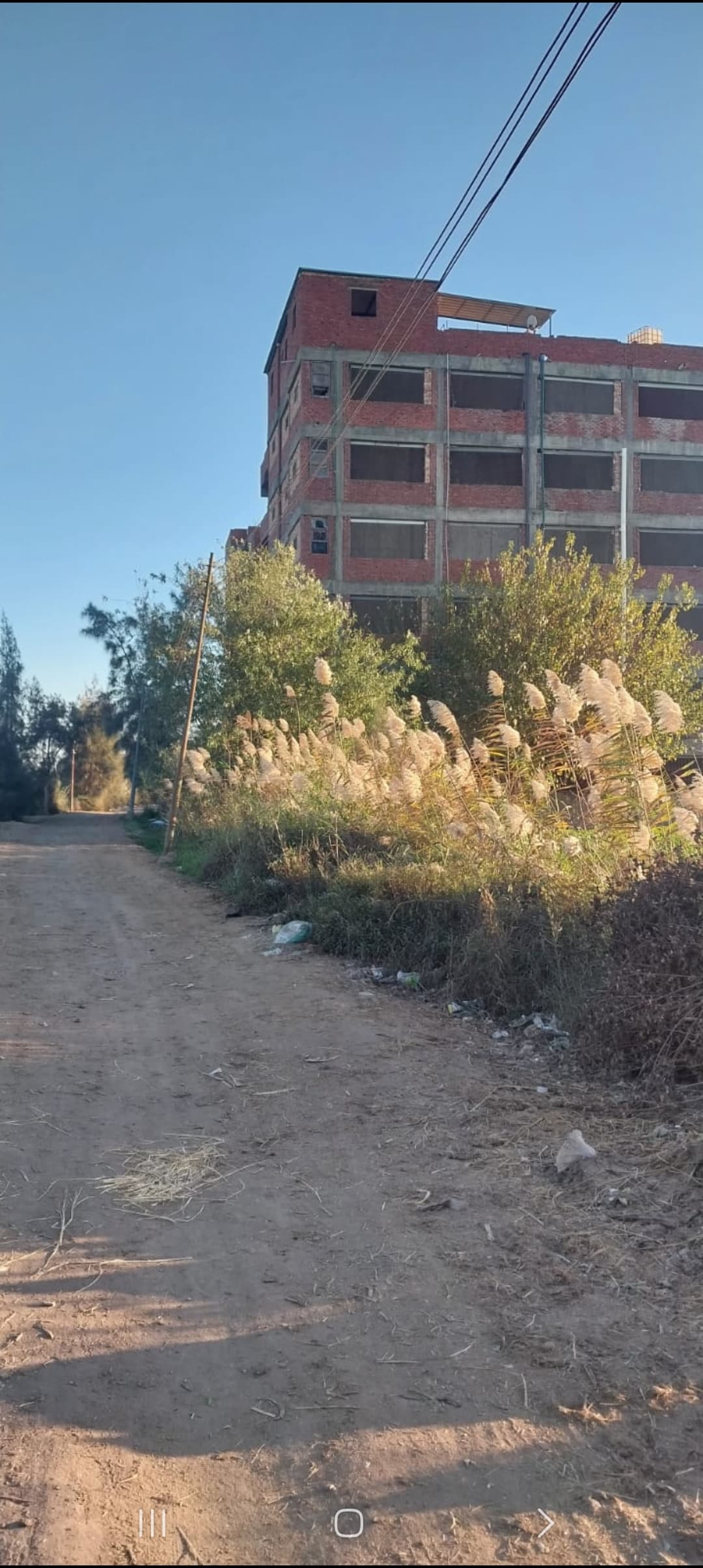 مزرعه دواجن كبيره — 8